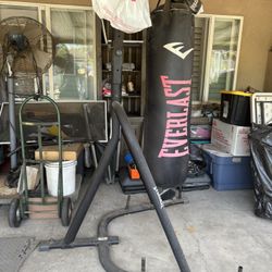Punching Bag & Stand 