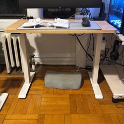 Branch Duo Standing Desk
