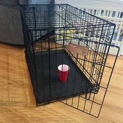 Dog Kennel