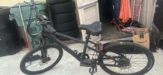 Electric bike