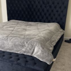 King Tufts Upholstered Storage Bed frame