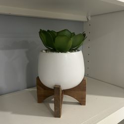 Artificial Succulent With Stand 
