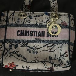 Dior Lady Dlite Bag 
