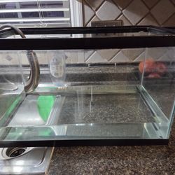 10 Gallon Fish Tank(s)