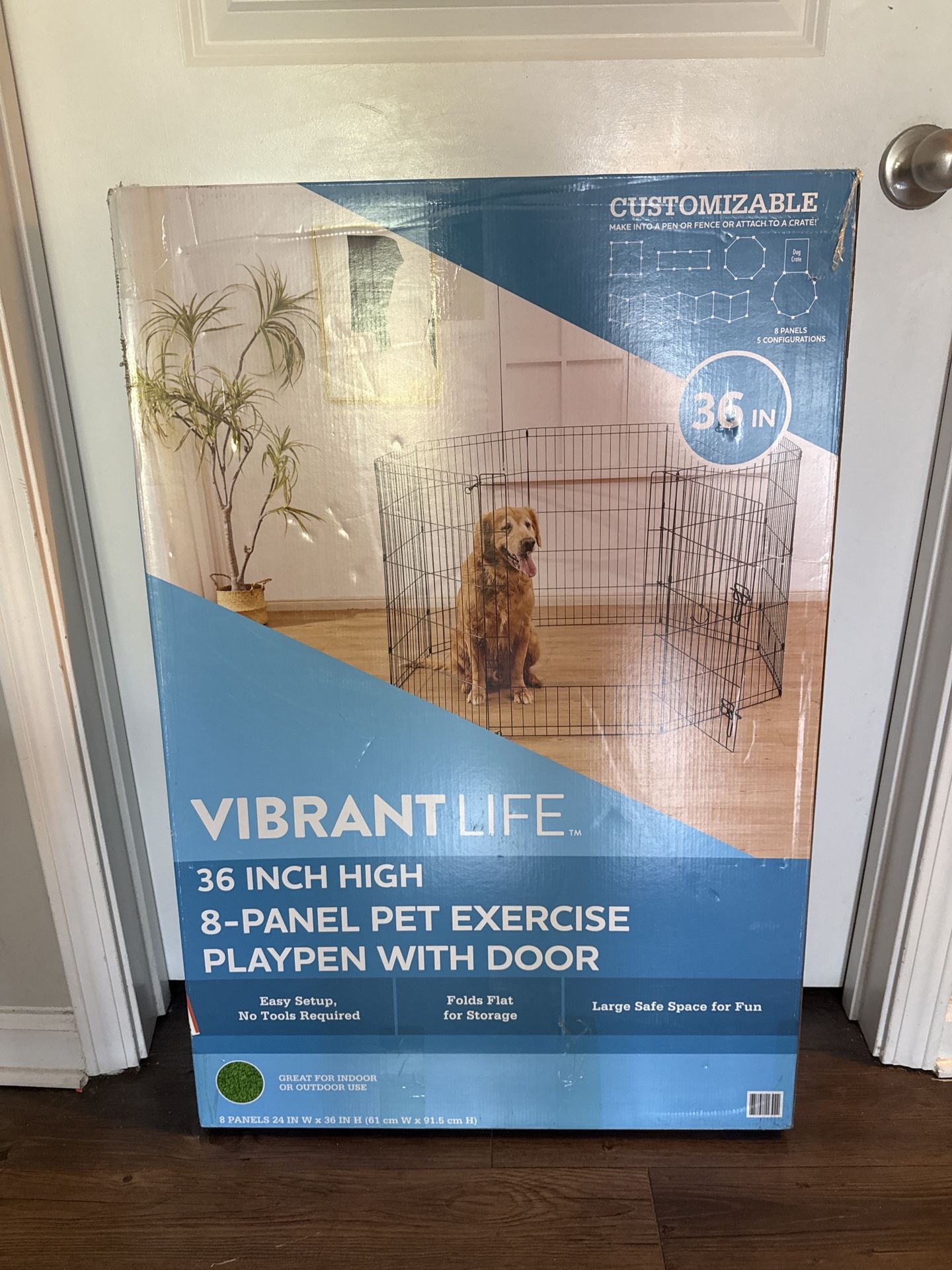 Pet Exercise