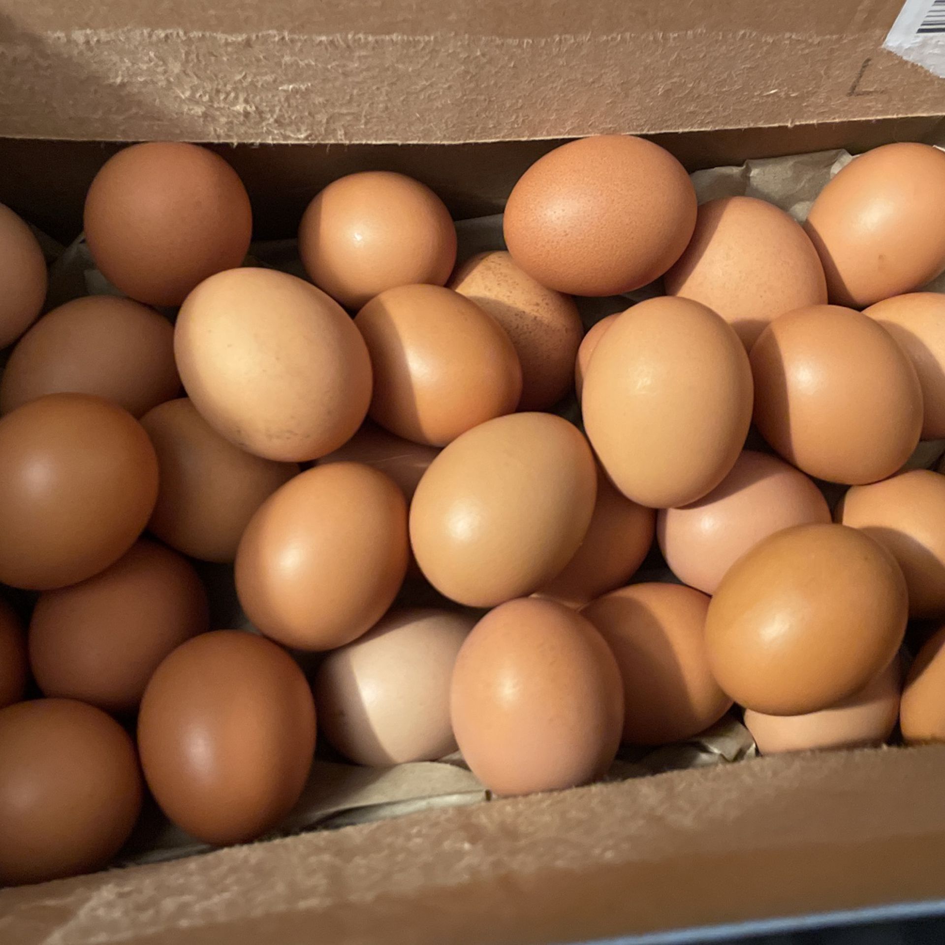 Free Range Organic Eggs