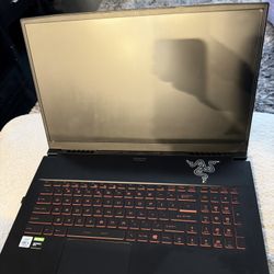 MSI GF75 thin 17.3 gaming Laptop 