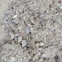 Free horse manure