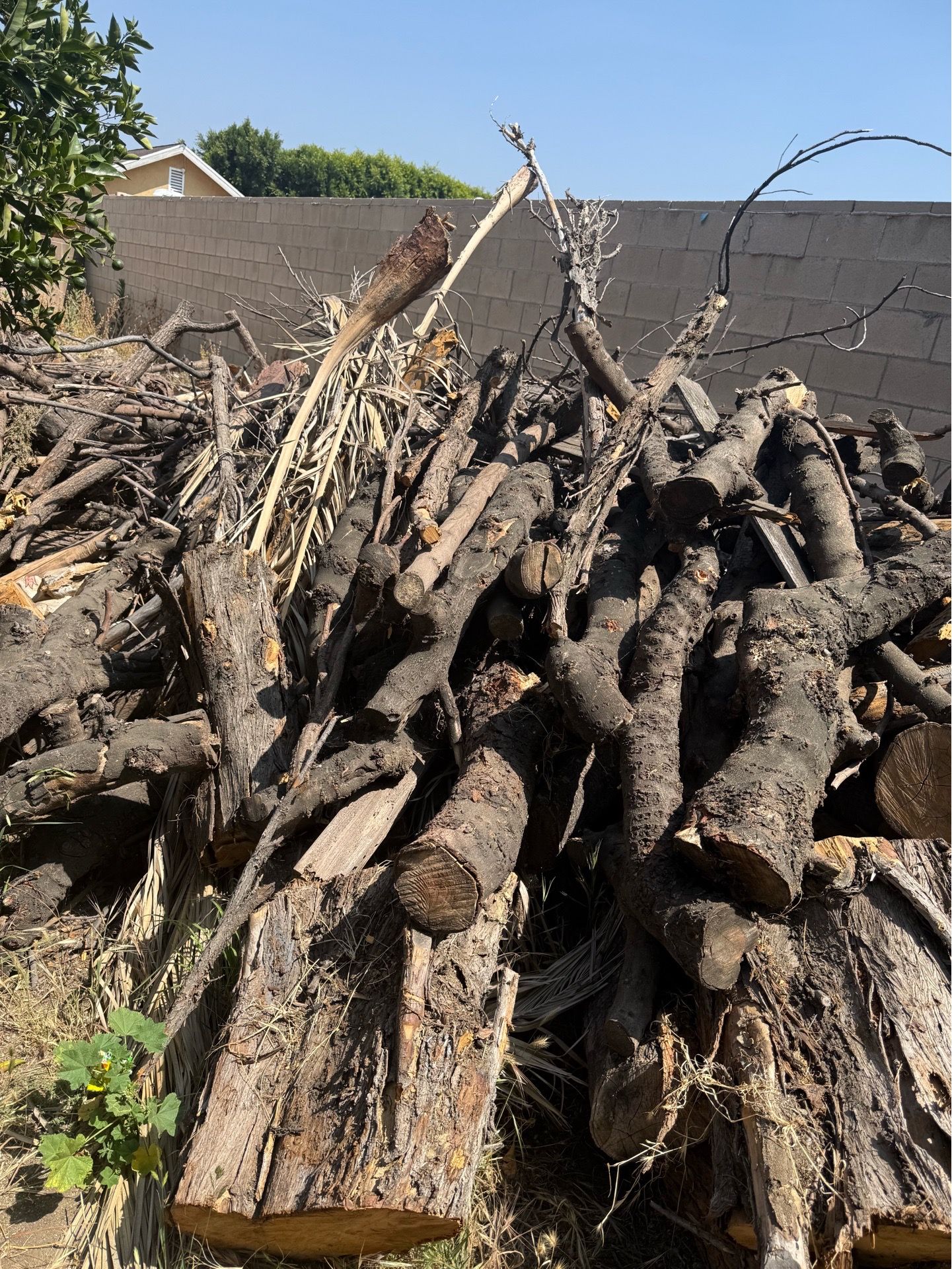 Firewood