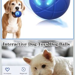Interactive Dog Toys Dog Balls Activated Automatic Rolling Ball for Puppy Small Medium Dogs Smart Jumping Automatic Moving Bouncing and Rotating Ball 