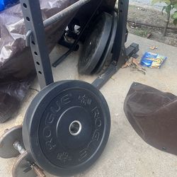 Rogue bumper plates and Bar