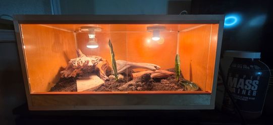 Reptile Enclosure