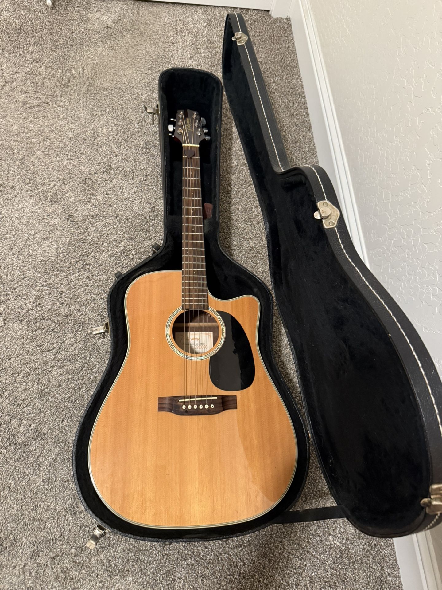 Takamine G Series Acoustic/Electric