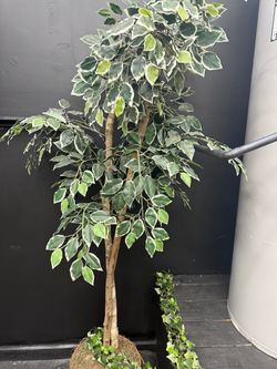 Artificial plants