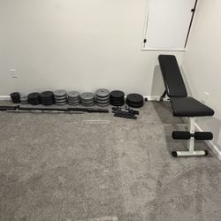Weight Plates + Bench Press+ Barbells