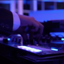 Wedding DJ Assistant