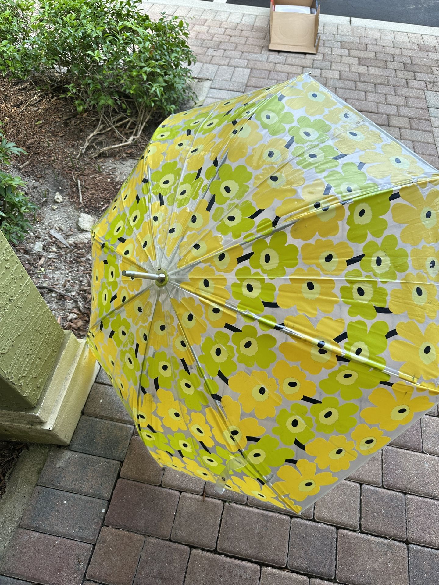 Anthropology Umbrella