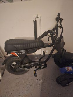 Rictor e bike