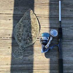 Shimano Twin power sw