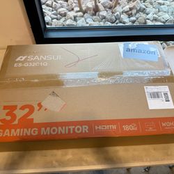 32 In Gaming Monitor