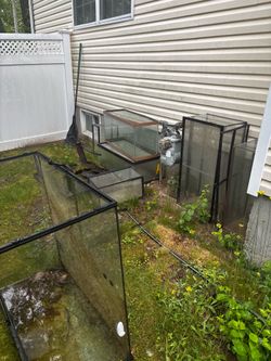 Lot of fish tanks