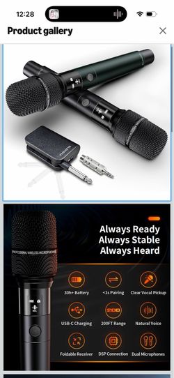 Wireless Microphone System