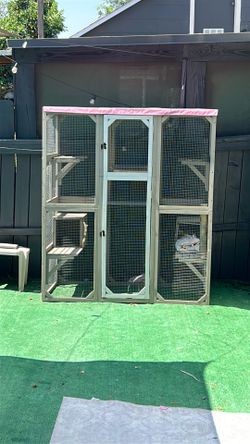 Catio