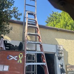 ladders 200 both