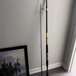 Ugly Stik 9’0” rod 