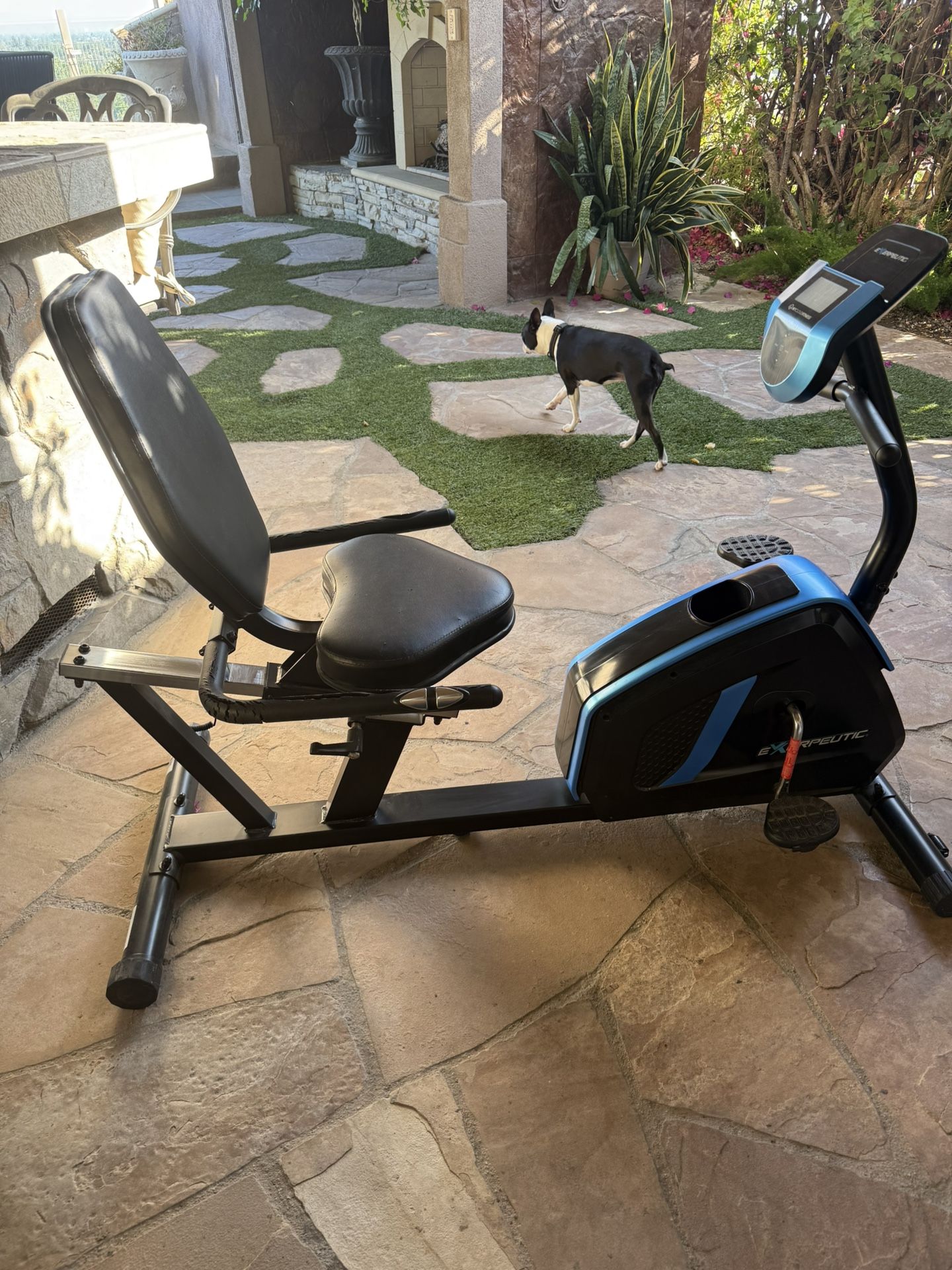 Recumbent Exercise Bike