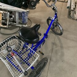 kent adult tricycle