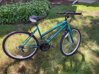 Ladies bike 26 inch tires