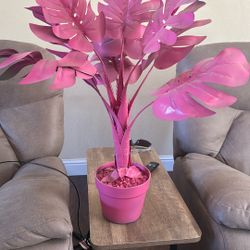 Pink Decorative Plant 