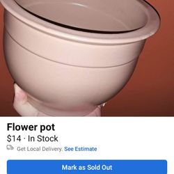 Beautiful Flower Pot