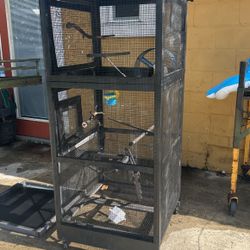 Bird Cage