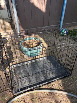 Kennel medium obo
