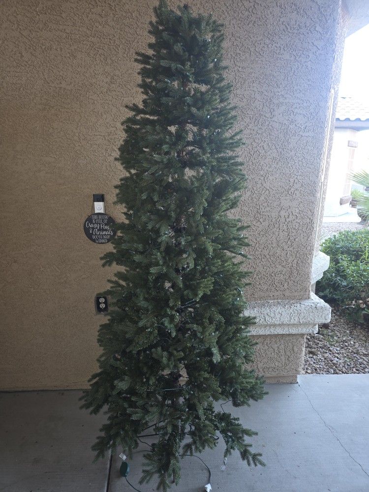 Christmas Tree Free