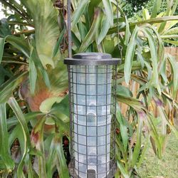 Preowned bird feeder