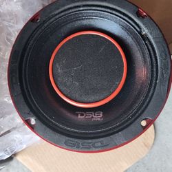 DS-18 Pro  HY6.4B Speakers