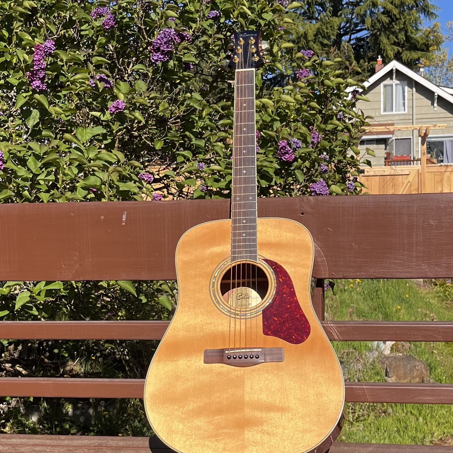 Silvertone Guitar With Soft Case 