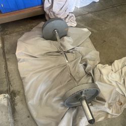 50 Lb Curl Bar 