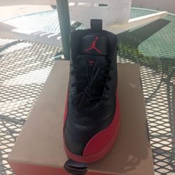 Jordan 12 Flue Game 1y