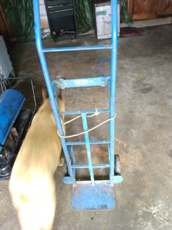 Two-wheeler ApplianceDolly