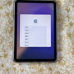 ipad mini 7