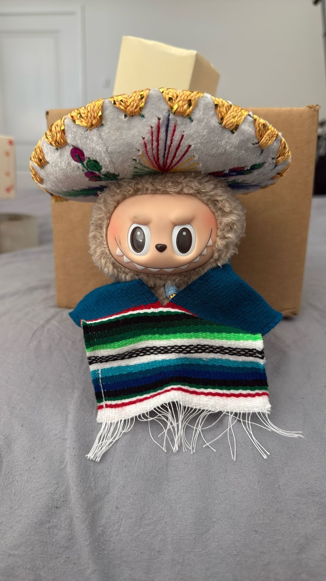 Sombrero & Poncho ONLY