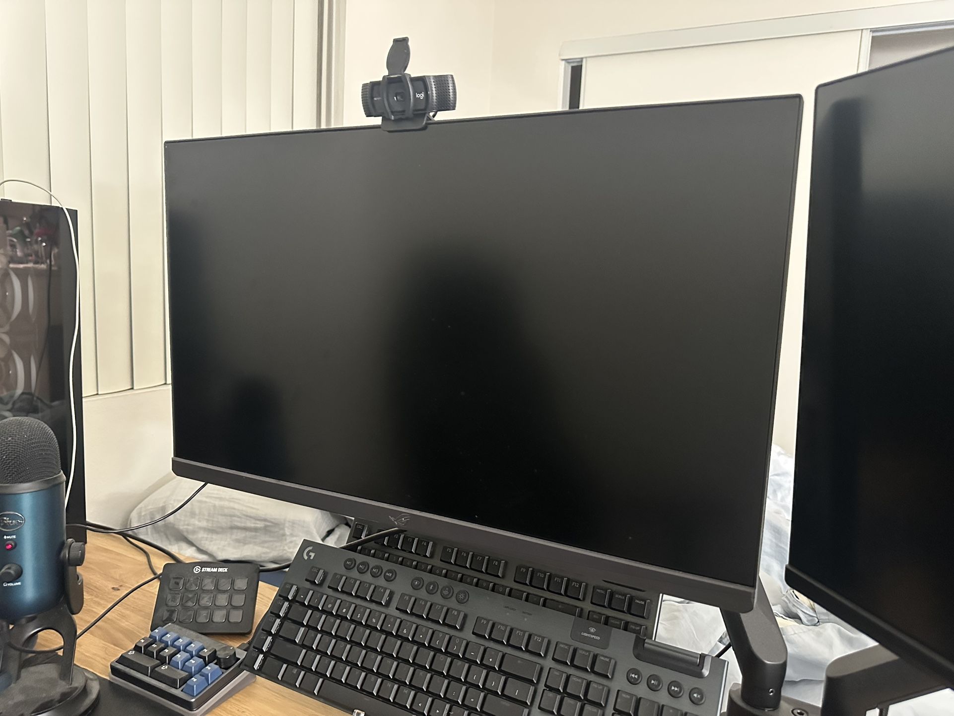 Asus 1440P & 4K  Monitors 
