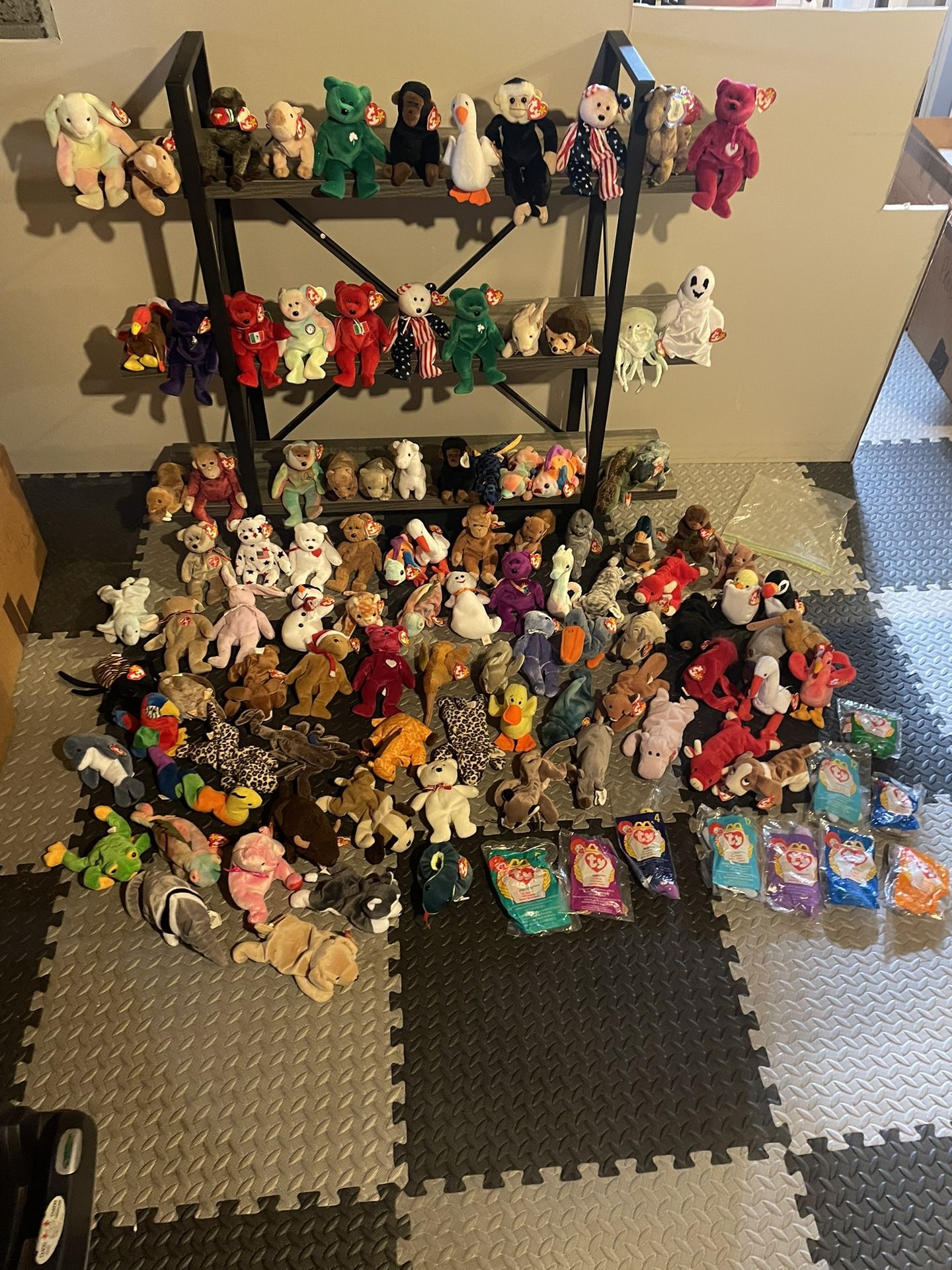 Beanie Baby Collection 