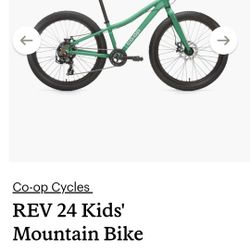 24" Mt. Bike. Like New Need Groceries 