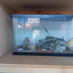 Fish Tank Small 