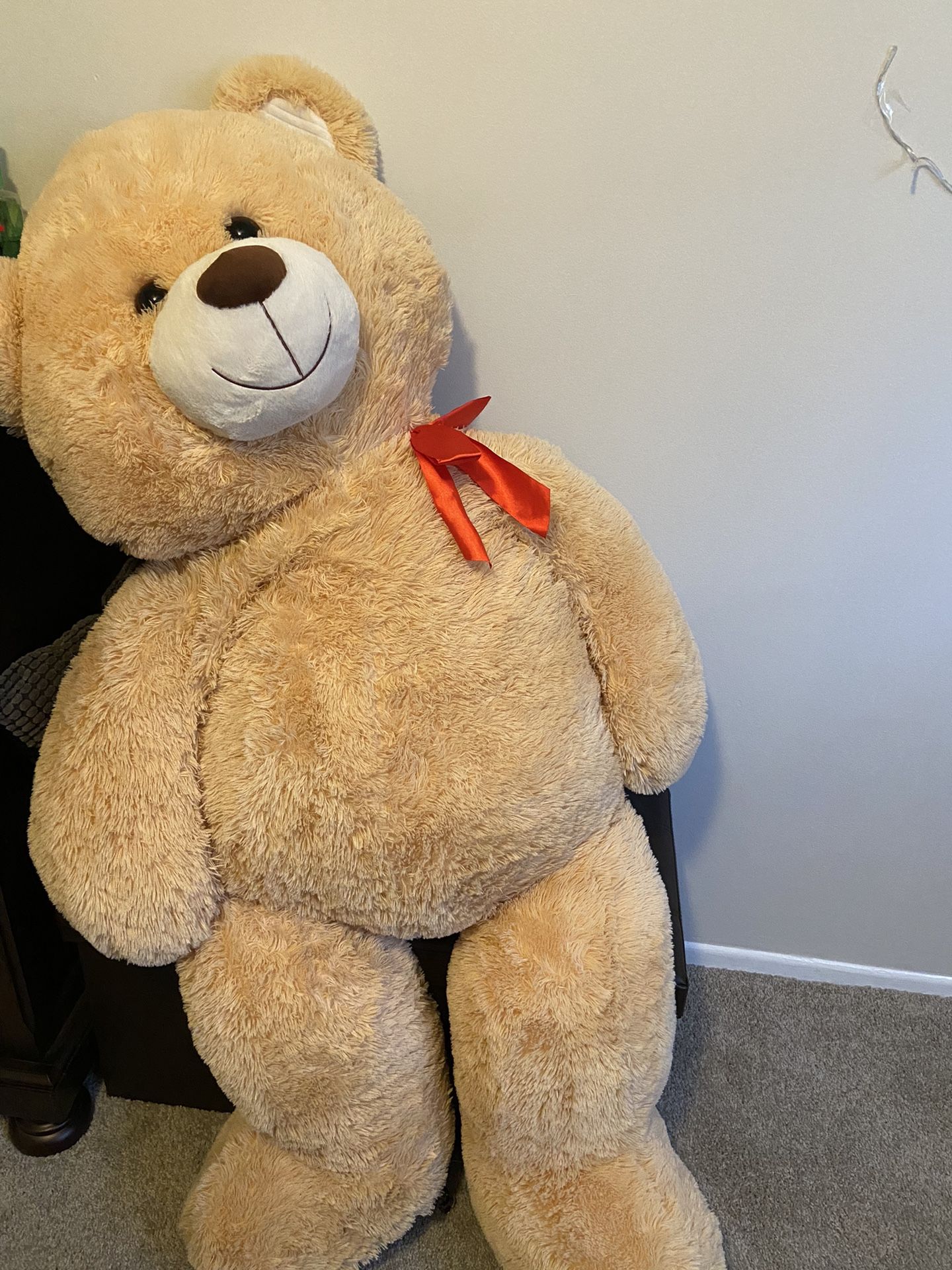 Big Teddy Bear
